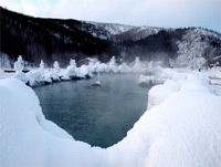 Chena Hotsprings