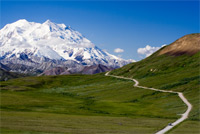 Denali National Park